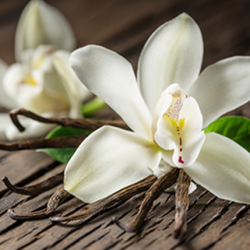 Aroma Vaniglia Classica