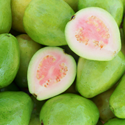 Aroma Guava