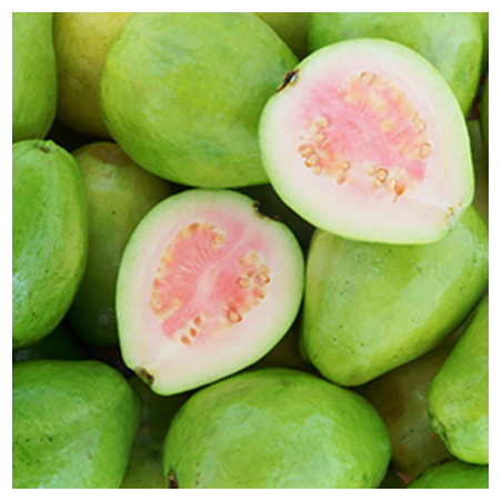 Aroma Guava