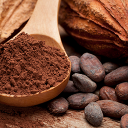 Aroma Cacao