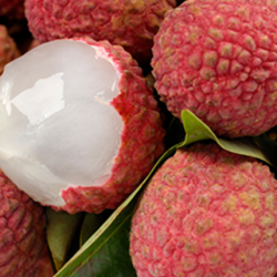 Aroma Lychee