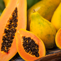 Aroma Papaya