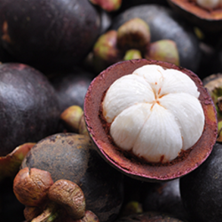 Aroma Mangosteen