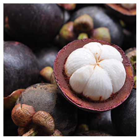 Aroma Mangosteen