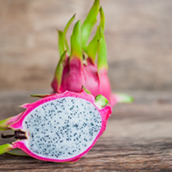 Aroma Dragon Fruit