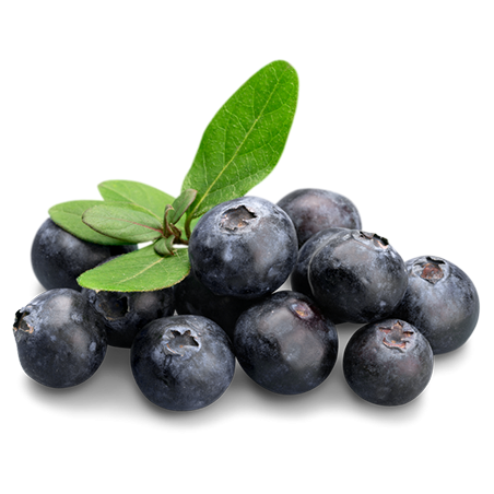 Aroma Blueberry Juicy Ripe
