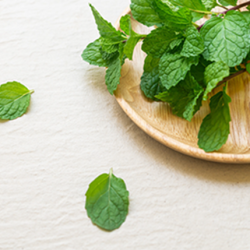 Aroma Peppermint