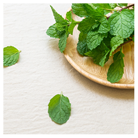 Aroma Peppermint
