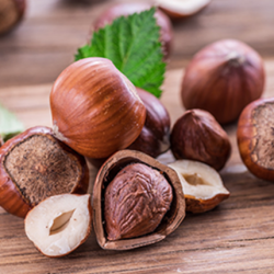 Aroma Hazelnut