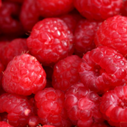 Aroma Raspberry