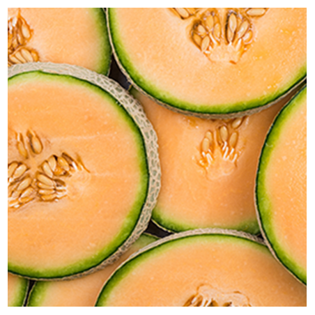 Aroma Melon
