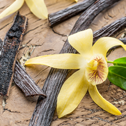 Aroma Vaniglia Naturale