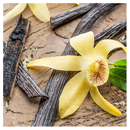 Aroma Vaniglia Naturale