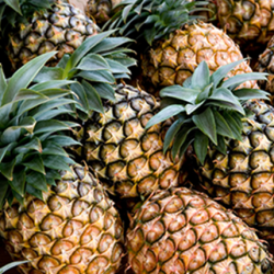 Aroma Pineapple Kenyan Special