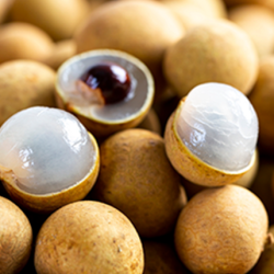 Aroma Longan Fresh