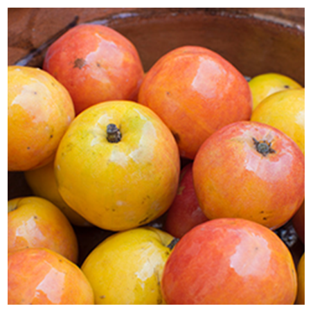 Aroma Jocote Plum
