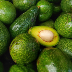 Aroma Avocado