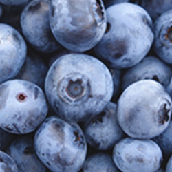 Aroma Mirtillo Extra