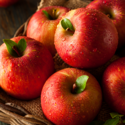 Aroma Fuji Doppio Concentrato