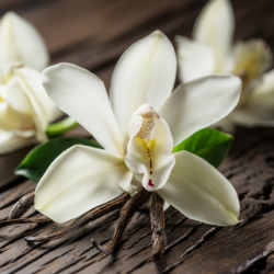 Aroma Killa Vanilla Doppio Concentrato