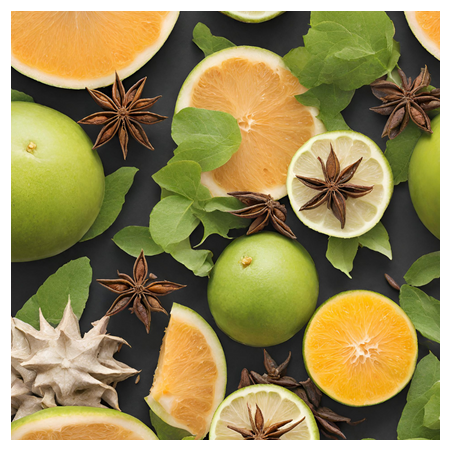 Aroma Anice Bergamotto Limone