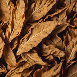 Aroma Tabacco Morbido