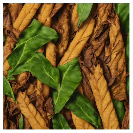 Aroma Tabacco Aromatico Tropical