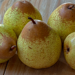 Aroma Pera tipo Rocha