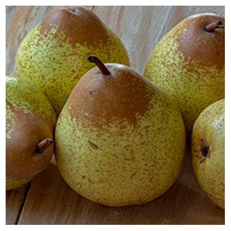 Aroma Pera tipo Rocha