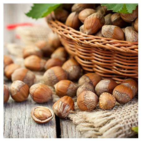 Aroma Nocciola Media Tostatura