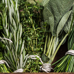 Aroma Erbe Aromatiche Naturale