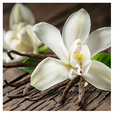 Aroma Vaniglia Classica