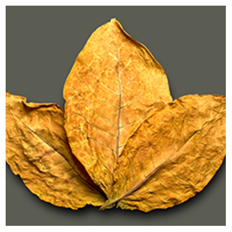 Aroma Decano